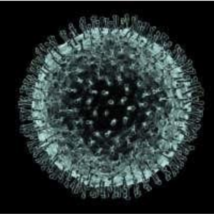 Mesaj pentru elevi și părinți