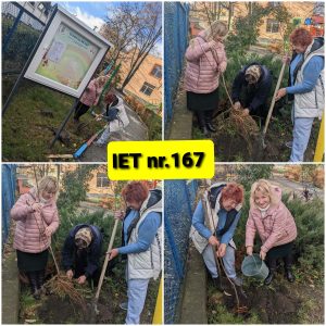 Acțiunile de plantare a arborilor în IET nr. 167