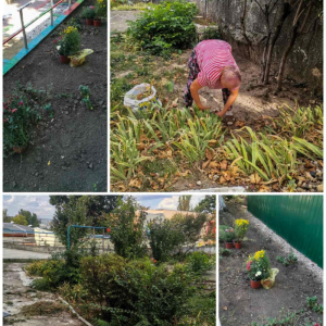 Îngrijirea spațiilor verzi la grădinița nr. 167